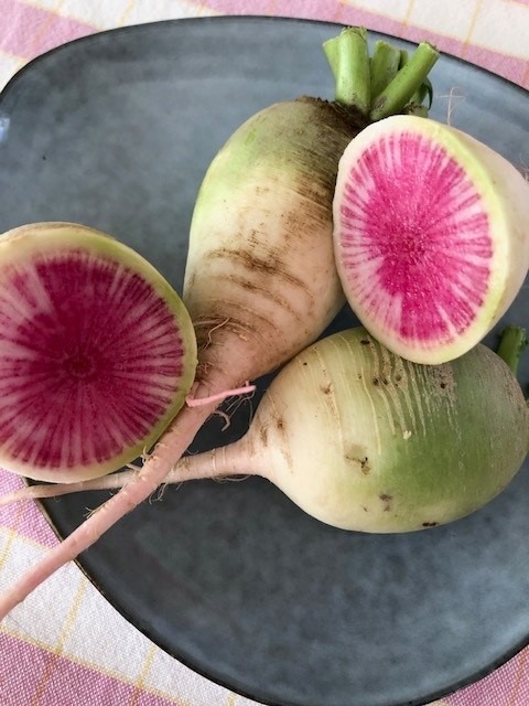 Pas un hiver sans radis !