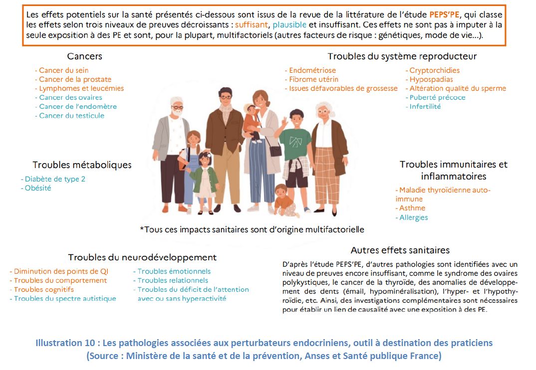 Perturbateurs endocriniens