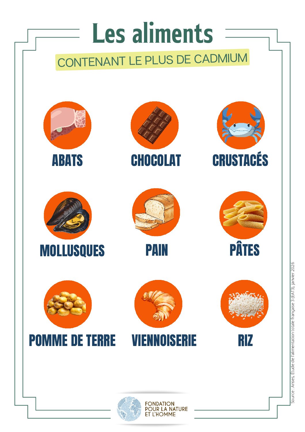 Les aliments contenant le plus de cadmium